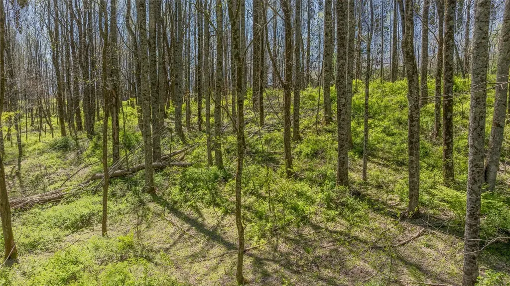 Lot 35 Thomas Knob Estates Road Scaly Mountain NC 28775