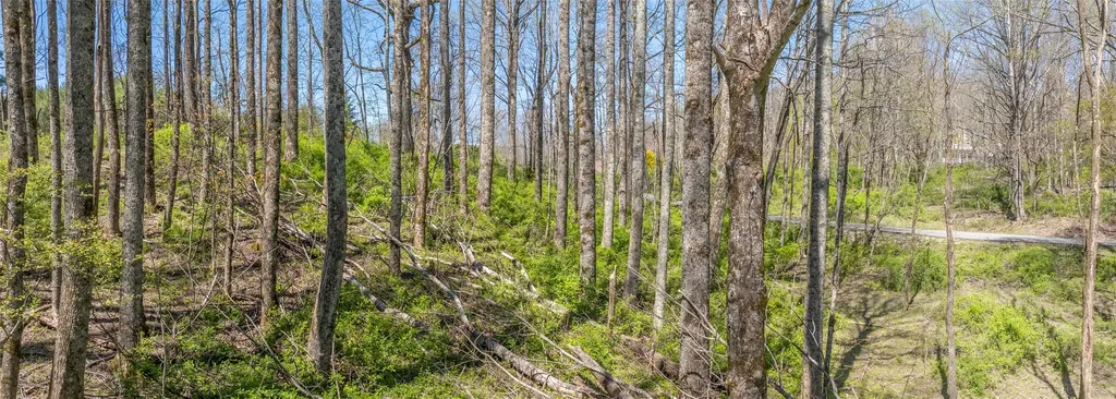 Lot 35 Thomas Knob Estates Road Scaly Mountain NC 28775