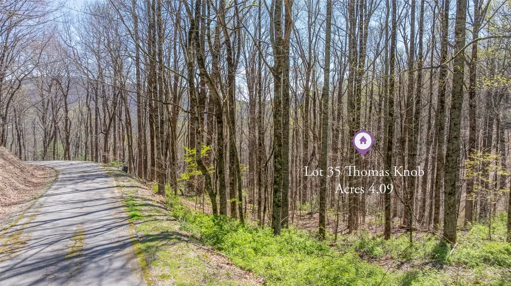 Lot 35 Thomas Knob Estates Road Scaly Mountain NC 28775