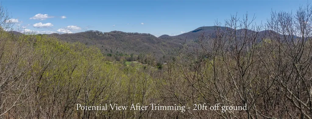 Lot 35 Thomas Knob Estates Road Scaly Mountain NC 28775