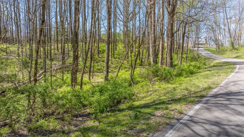 Lot 35 Thomas Knob Estates Road Scaly Mountain NC 28775