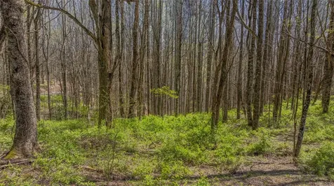 Lot 35 Thomas Knob Estates Road Scaly Mountain NC 28775