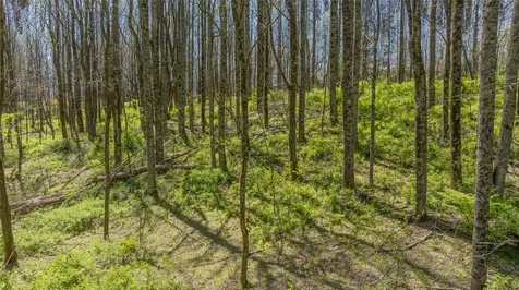 Lot 35 Thomas Knob Estates Road Scaly Mountain NC 28775