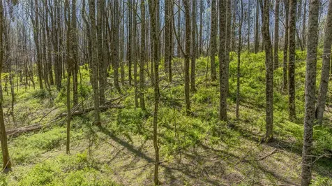 Lot 35 Thomas Knob Estates Road Scaly Mountain NC 28775