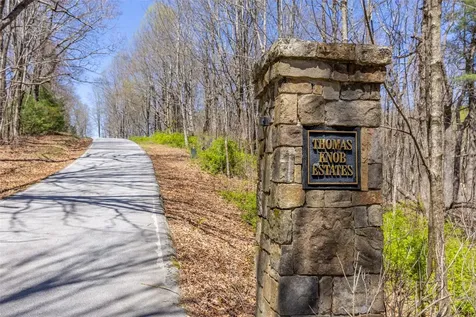 Lot 35 Thomas Knob Estates Road Scaly Mountain NC 28775
