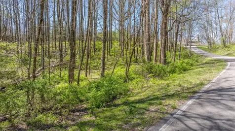 Lot 35 Thomas Knob Estates Road Scaly Mountain NC 28775
