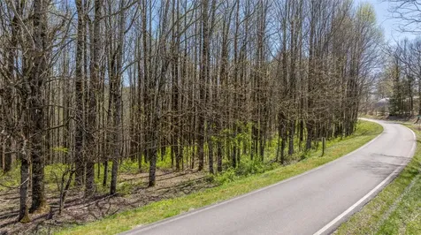 Lot 35 Thomas Knob Estates Road Scaly Mountain NC 28775