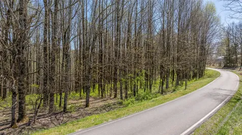 Lot 35 Thomas Knob Estates Road Scaly Mountain NC 28775