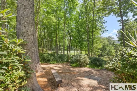 2071 High Mountain Drive Cashiers NC 28717