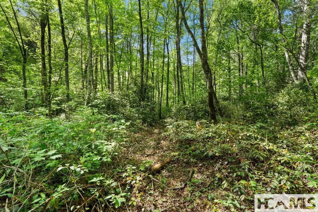 Lt 29/36 Long Bridge N Cullowhee NC 28717