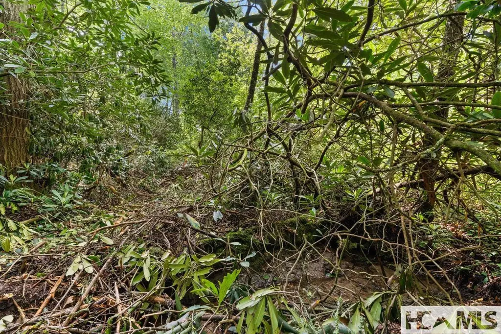 Lt 29/36 Long Bridge N Cullowhee NC 28717