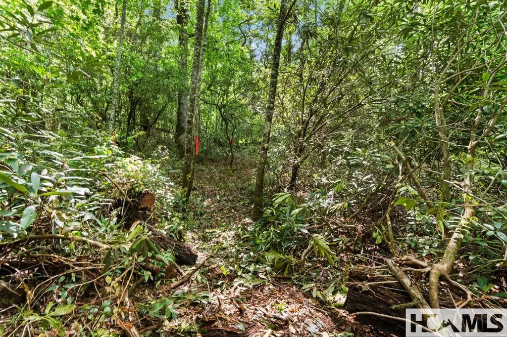 Lt 29/36 Long Bridge N Cullowhee NC 28717