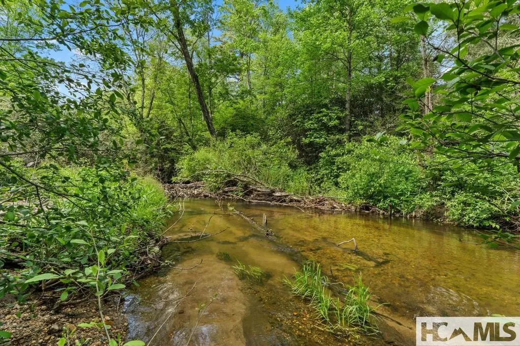 Lt 29/36 Long Bridge N Cullowhee NC 28717