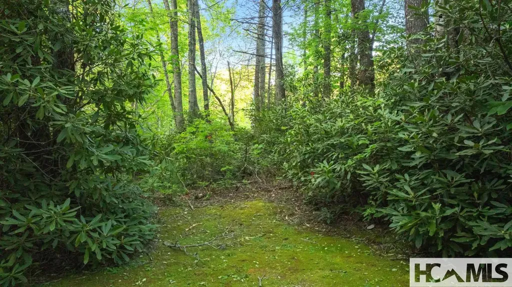 Lt 29/36 Long Bridge N Cullowhee NC 28717