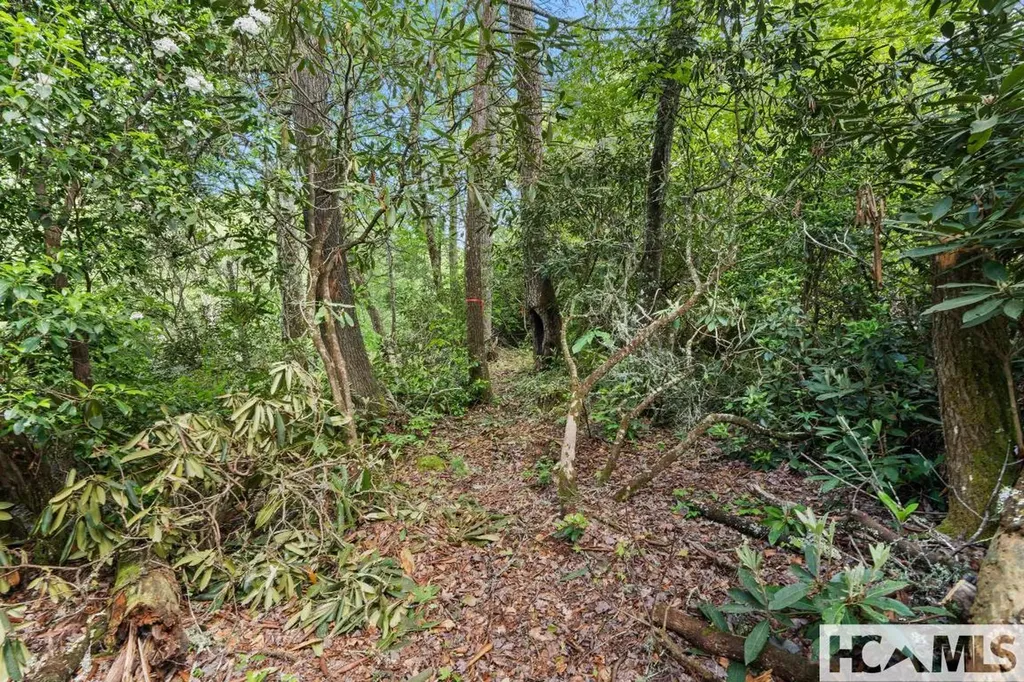 Lt 29/36 Long Bridge N Cullowhee NC 28717