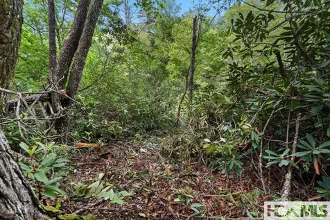 Lt 29/36 Long Bridge N Cullowhee NC 28717