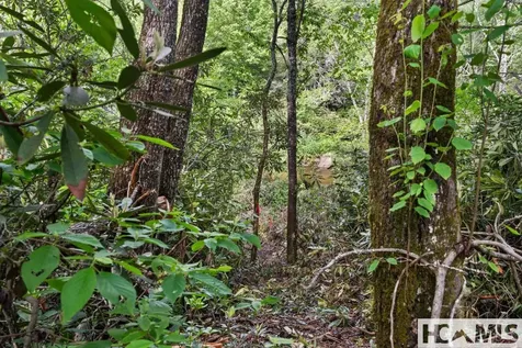 Lt 29/36 Long Bridge N Cullowhee NC 28717