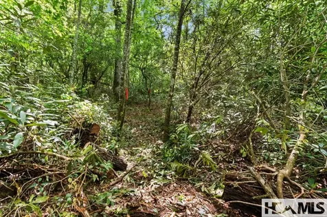 Lt 29/36 Long Bridge N Cullowhee NC 28717