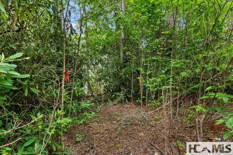 Lt 29/36 Long Bridge N Cullowhee NC 28717