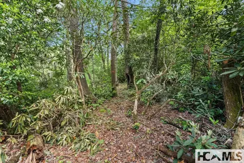 Lt 29/36 Long Bridge N Cullowhee NC 28717