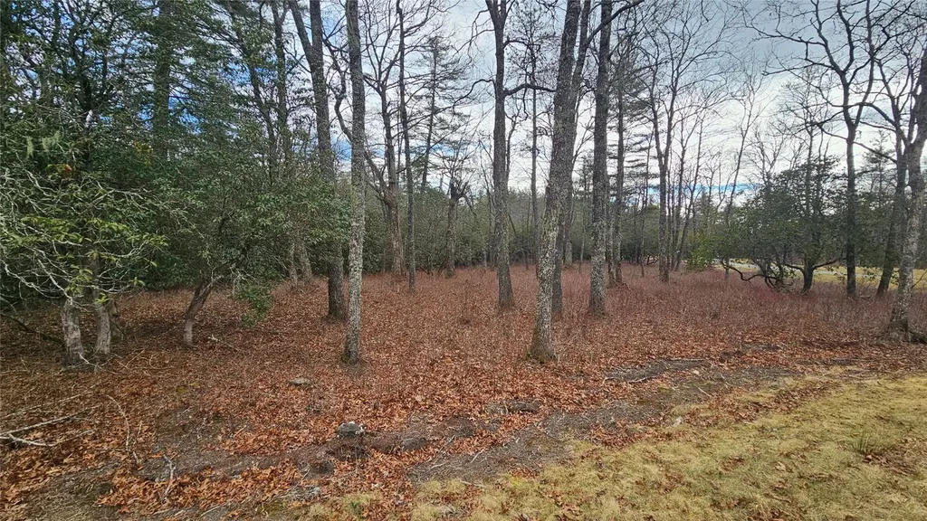 3 New Settlers Way Glenville NC 28736