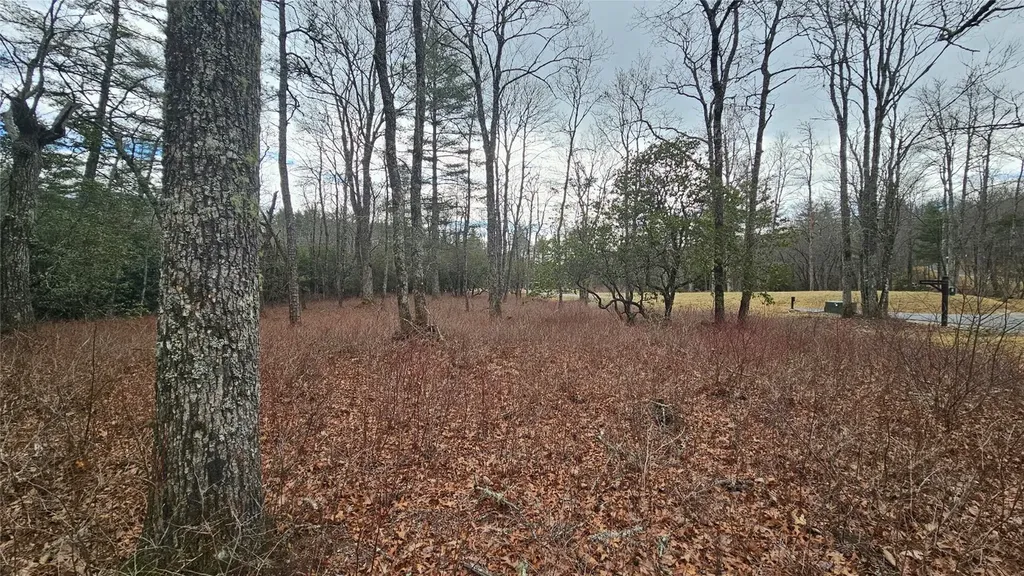 3 New Settlers Way Glenville NC 28736