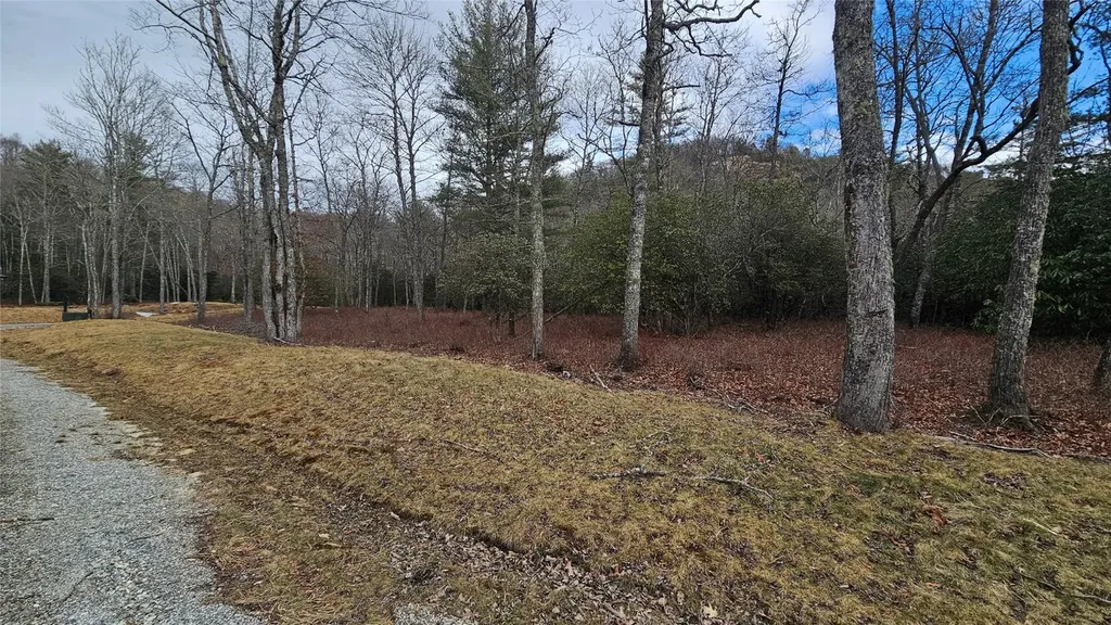 3 New Settlers Way Glenville NC 28736