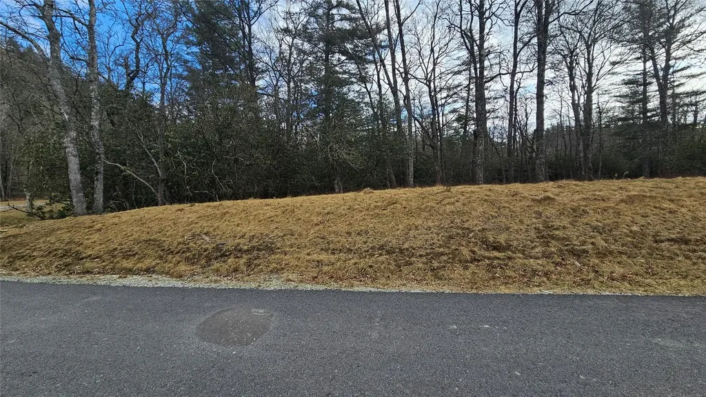 3 New Settlers Way Glenville NC 28736