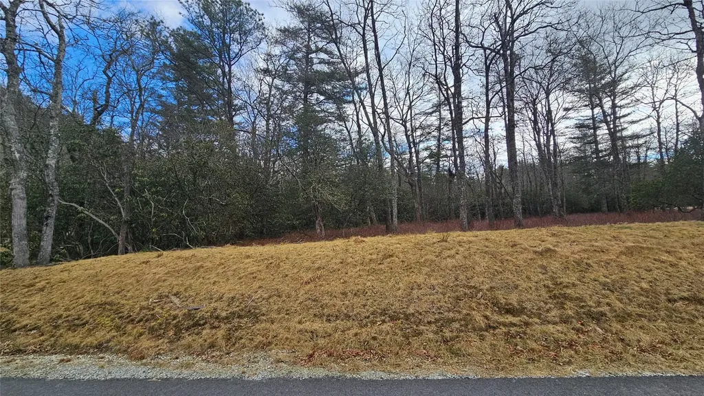 3 New Settlers Way Glenville NC 28736