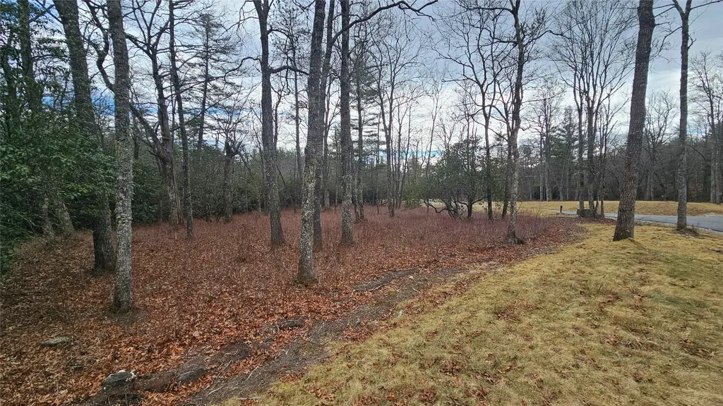3 New Settlers Way Glenville NC 28736