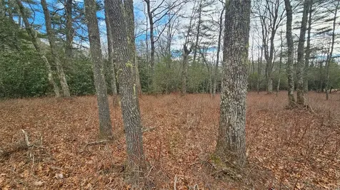 3 New Settlers Way Glenville NC 28736