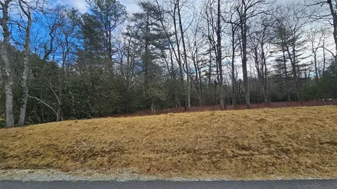 3 New Settlers Way Glenville NC 28736