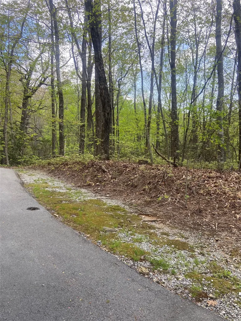 45 Wild Cherry Court Sapphire NC 28774