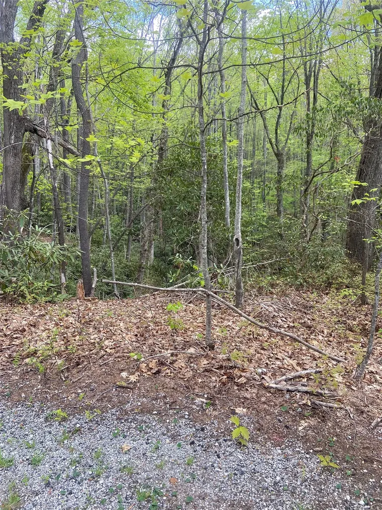 45 Wild Cherry Court Sapphire NC 28774
