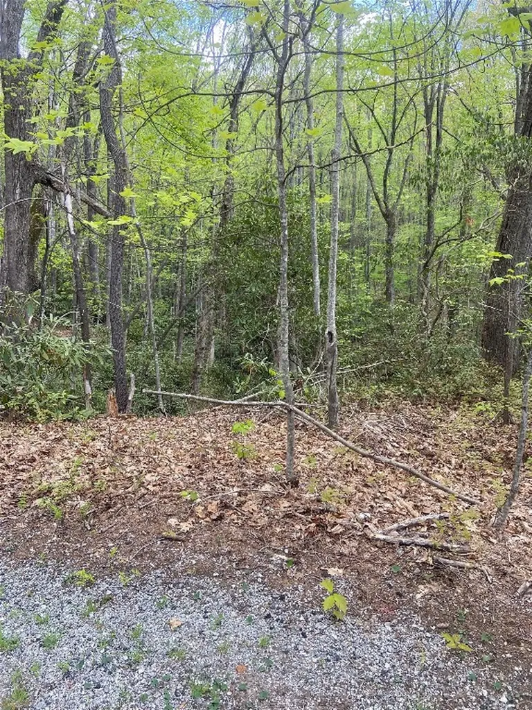 45 Wild Cherry Court Sapphire NC 28774