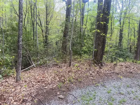 45 Wild Cherry Court Sapphire NC 28774