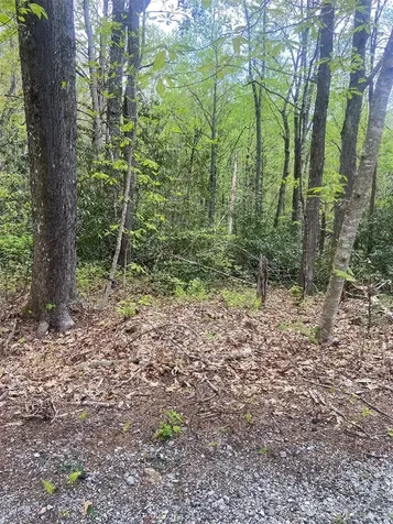 45 Wild Cherry Court Sapphire NC 28774