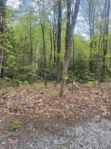 45 Wild Cherry Court Sapphire NC 28774