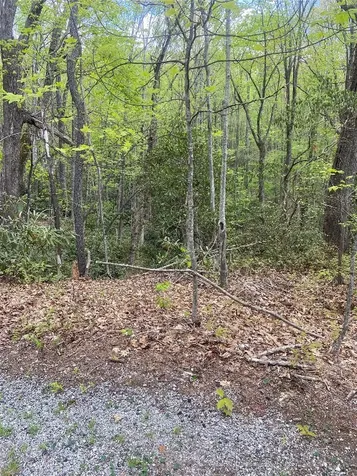 45 Wild Cherry Court Sapphire NC 28774