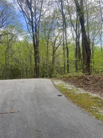 45 Wild Cherry Court Sapphire NC 28774