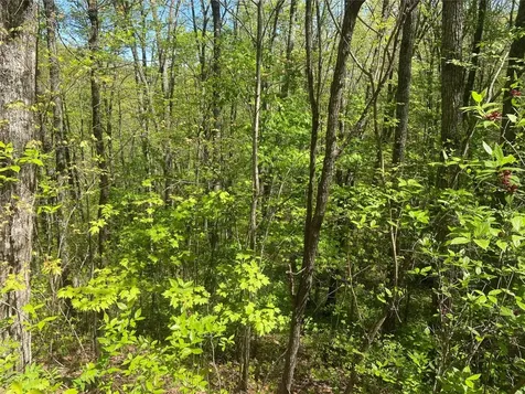 77 Royal Wulff Drive Cullowhee NC 28723