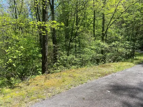 77 Royal Wulff Drive Cullowhee NC 28723