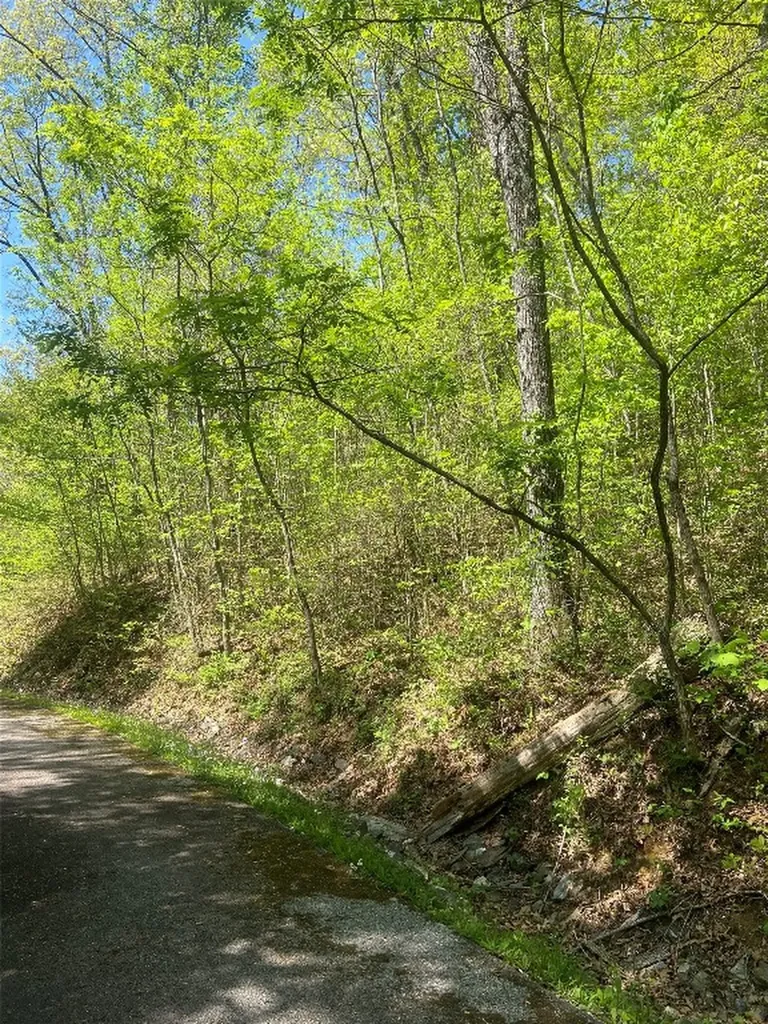 23 Green Drake Lane Cullowhee NC 28723