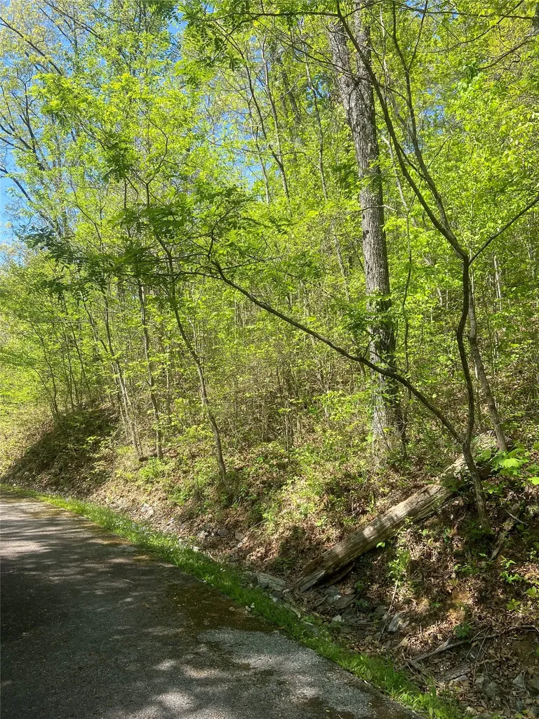 23 Green Drake Lane Cullowhee NC 28723