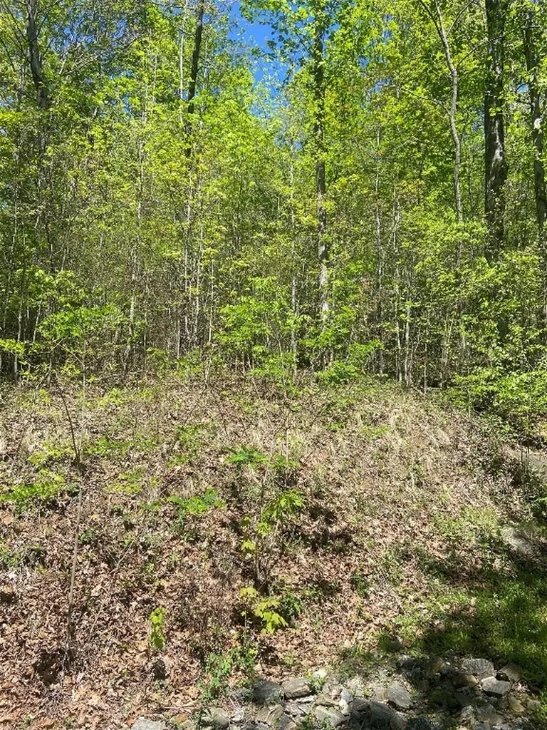 23 Green Drake Lane Cullowhee NC 28723