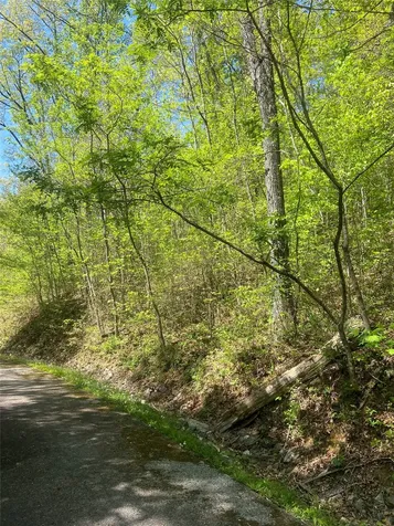23 Green Drake Lane Cullowhee NC 28723