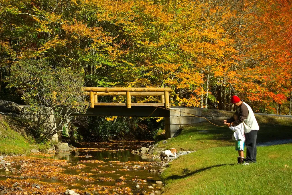 11 Power Line Road Glenville NC 28736