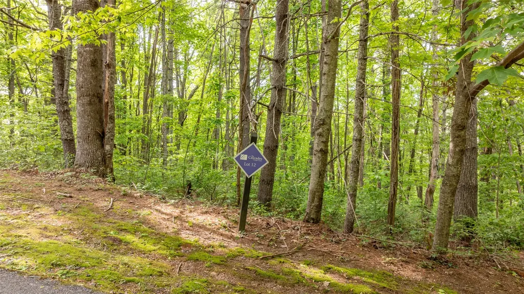 522 Receptive Drive Glenville NC 28736