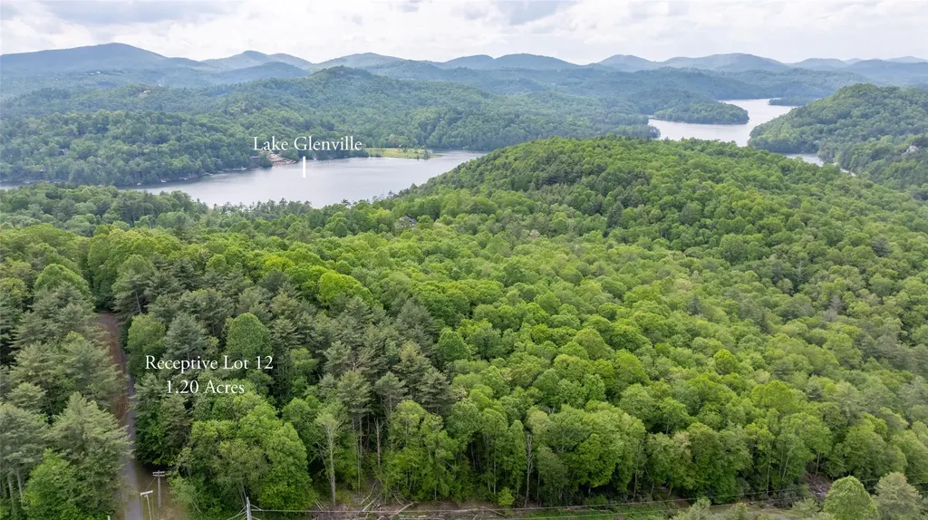 522 Receptive Drive Glenville NC 28736