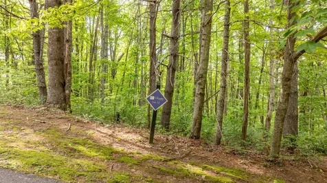 522 Receptive Drive Glenville NC 28736